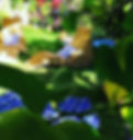 image (22).jpeg
