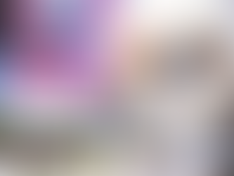 シーズーフェス 2026 Spring