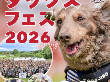 ダックスフェス 2026 Spring