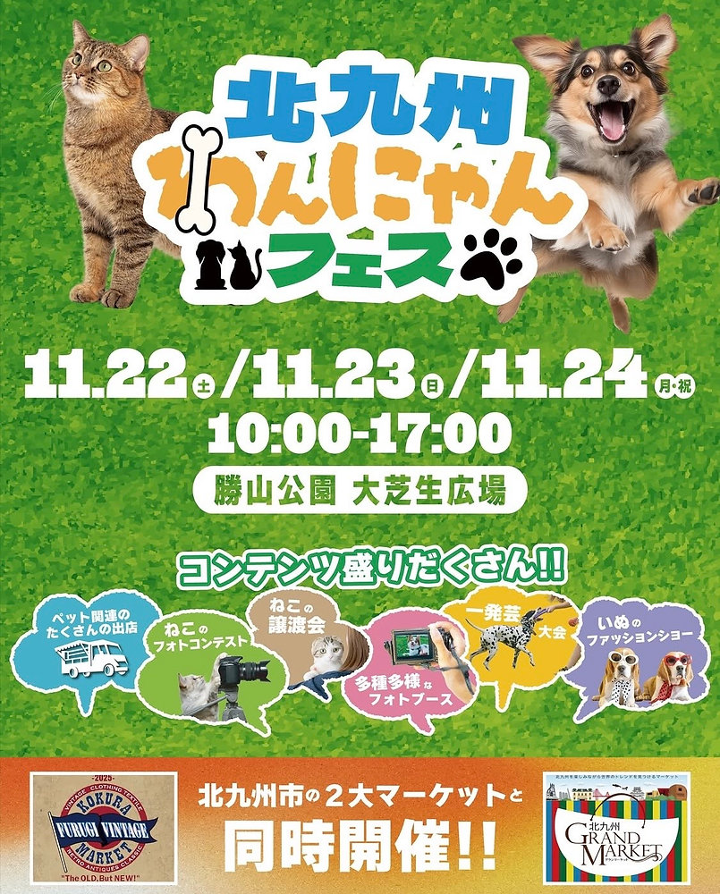 北九州わんにゃんフェス