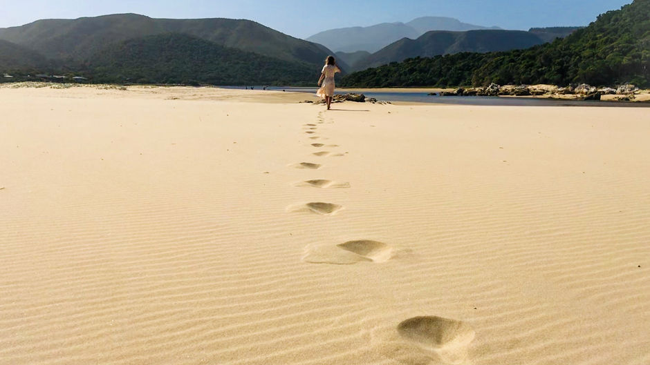 An Eulogy To Plett