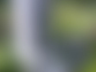 The Restoration of Rangers Graves Project and the Oceanic Rangers Supporters Association.