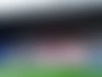 The Restoration of Rangers Graves Project and the Union Bears.