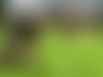 The Restoration of Rangers Graves Project visits Dunoon and Kilmun