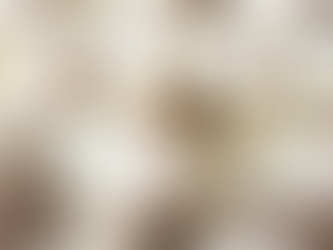 French Meringue Recipe