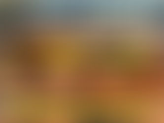 Bavette Steak & Onion Sandwich (The Butcher’s Secret Cut)