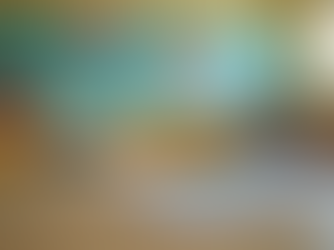 Inclusão Social na Educação: O Papel do Espaço Tati Haidar