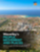 Waverleys People Movement Places-cover.J