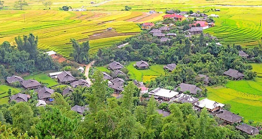 TOUR MÙ CANG CHẢI - ĐỒI MÓNG NGỰA - ĐỒI MÂM XÔI - MÙA LÚA CHÍN - 2N1Đ