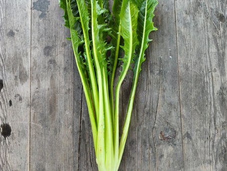 Spaghetti mit Catalogna