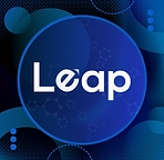 LEAP INFOSYS-ELITEDALI.png