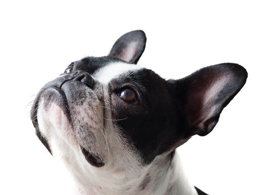 Sognare senza limiti: a inizio anno si può