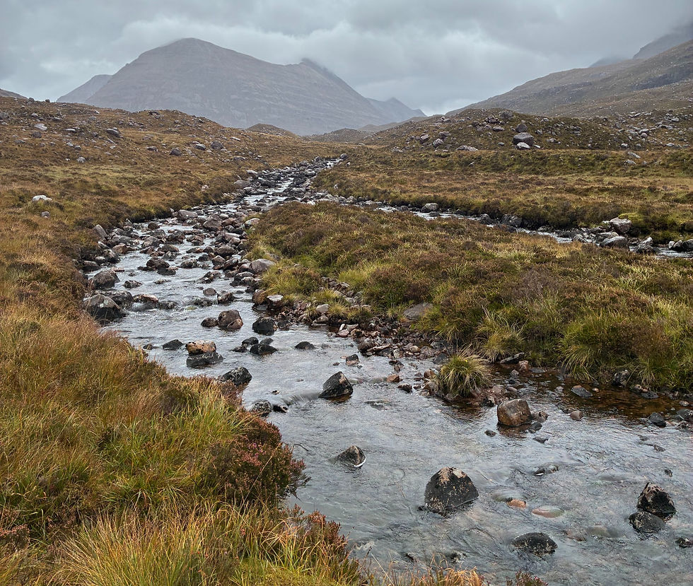 Our trail followed this brook for about ten miles. Photograph by Joseph Bowman.