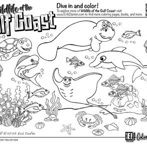 Wildlife of the Gulf Coast - Coloring Page