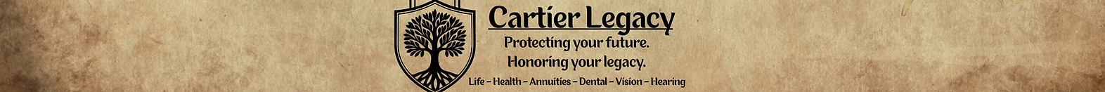 web header logo banner