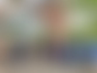 SAFELOOP 3rd General Assembly meeting in Nyborg, Denmark