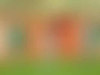 LA FEZZANESE TORNA REGINA: VITTORIA AL CARDIOPALMA E PRIMO POSTO SOLITARIO!