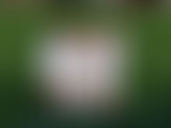 IL DERBY È VERDE! Poker d’autore al "Cimma": la Tarros si inchina alla forza dei ragazzi di Tonelli