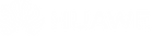 Huawai logo_white.png