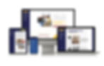 TS-work-rld-websitemockup.jpg
