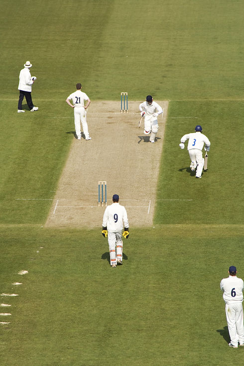 Cricket Field