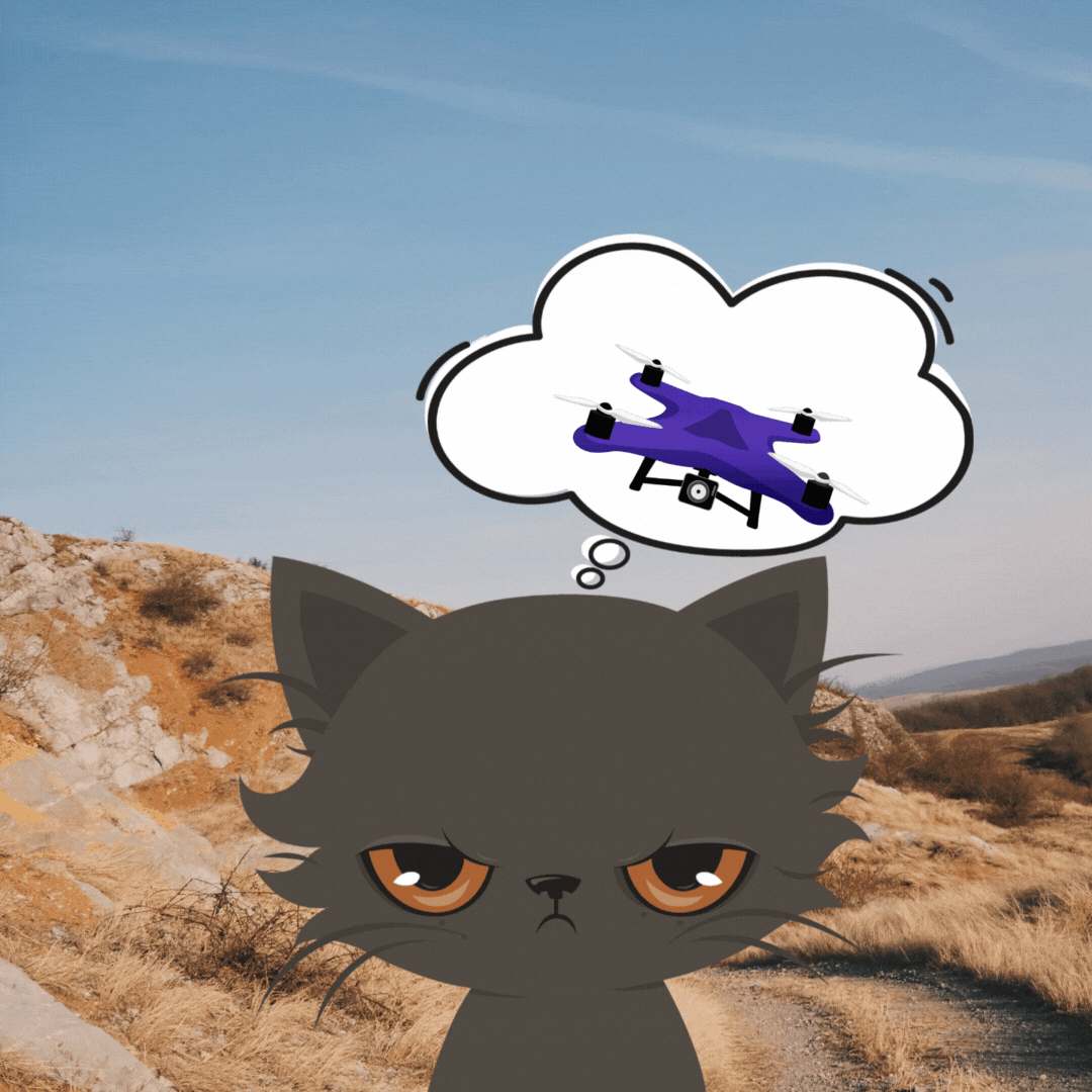 Post Instagram frase femenino minimalista dorado (5).gif