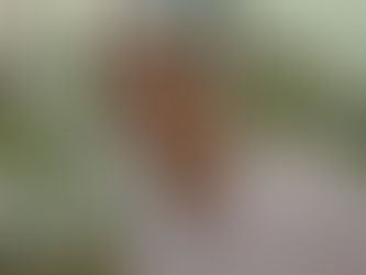 I concorsi farsa e il danno ai progressi scientifici con ricaduta sui cittadini: il caso Camerota