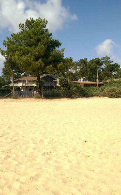 JMBEL-CapFerret-2017-web