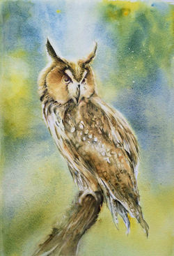 JMBEL-LeGrandDuc-2020-35x55