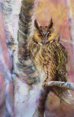 JMBEL-CoronaDuc2020-35x55