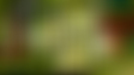 Who Was The Real St. Patrick