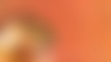 Où commander son premier harmonica sur internet ?