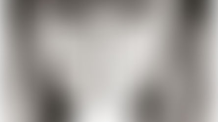 TOP 10 des Harmonicistes Français