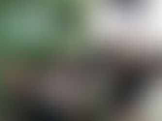 Midlands Scrum Clinic