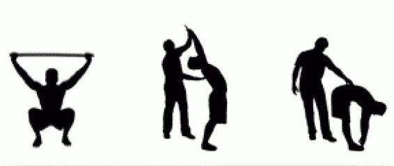 Selective Functional Movement Assess