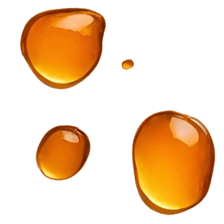 beneterrah-medaillon-soleil.png