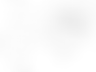 Plan & Analysis: Self-portrait