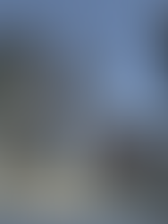 Playtesting & Feedback