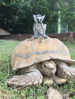 Indian Springs Ranch