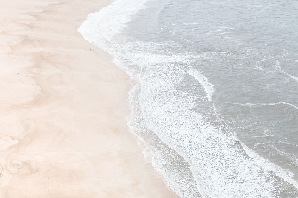 Shore_edited.jpg