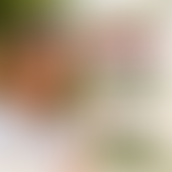 Darm-Hirn-Achse: Warum dein Bauch deine Stimmung steuert
