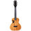 Thumbnail: D-1 Super Tenor 5-String Pro 29717