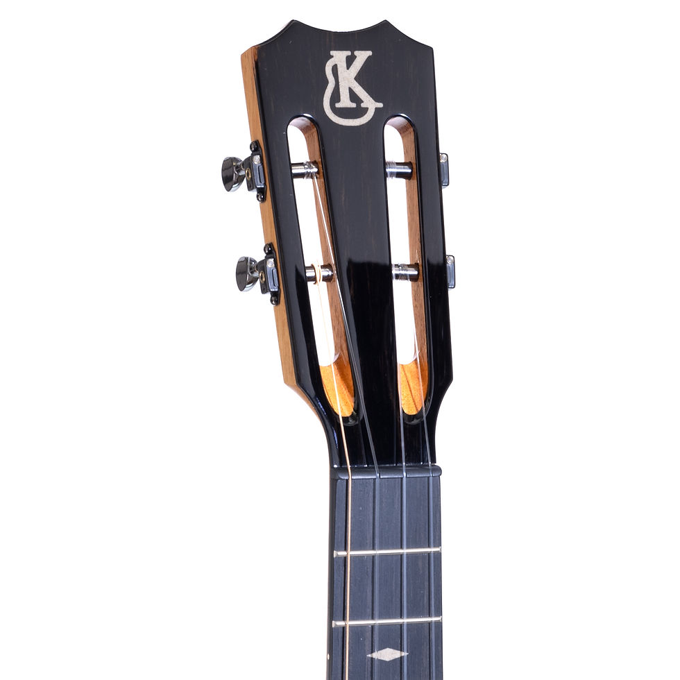 Thumbnail: KTR Tenor Pro SN. 30301