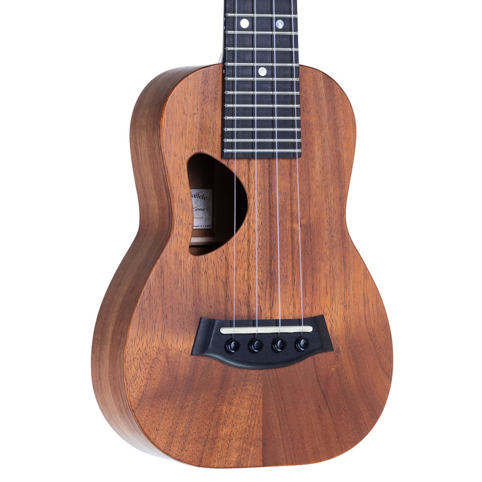 D-1 Soprano Natural SN. 28835