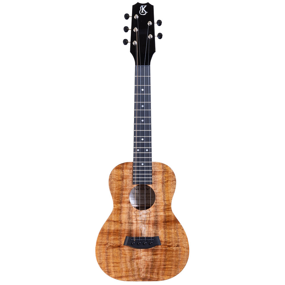 Thumbnail: K-1 Tenor 5-String Pro SN. 30314