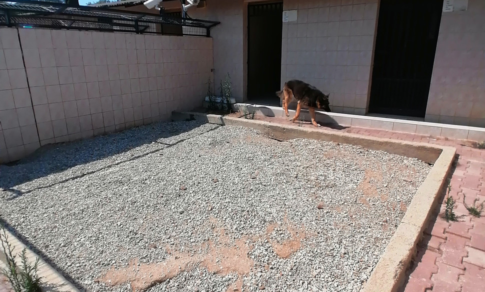 Köpek Oteli Bodrum Countryranch