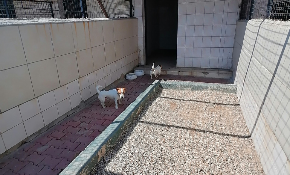 Köpek Oteli Bodrum Countryranch