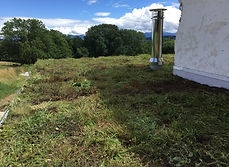 Tapis type prairie
