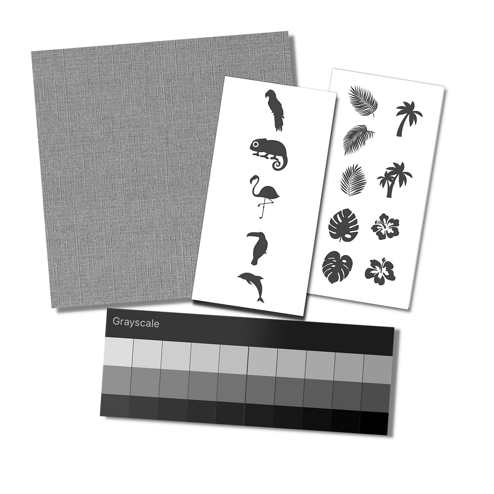 mockup of digital brushes