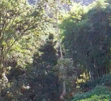 Onde há vida, há movimento.